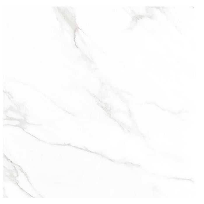 Calacatta Marble Polished Marble Floor and Wall Tile - 80x80cm